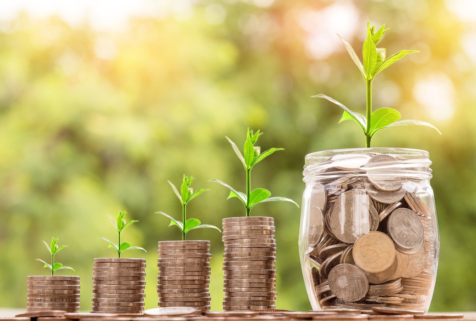 Avoiding Budget Wastage, Why Top Top Picks It’s Partners Carefully